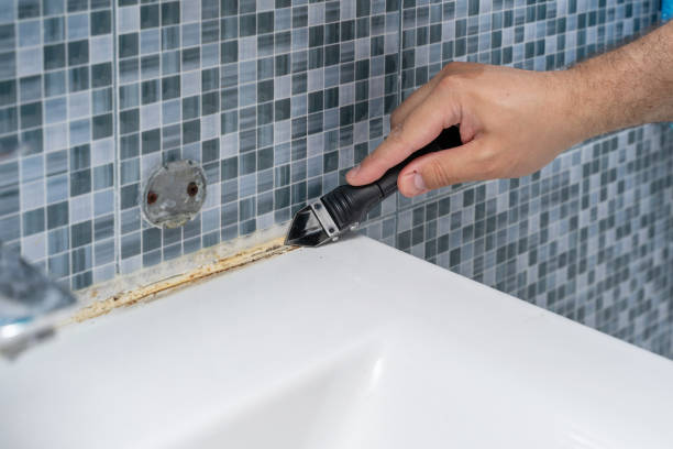 Best Mold Removal and Inspection  in Safford, AZ